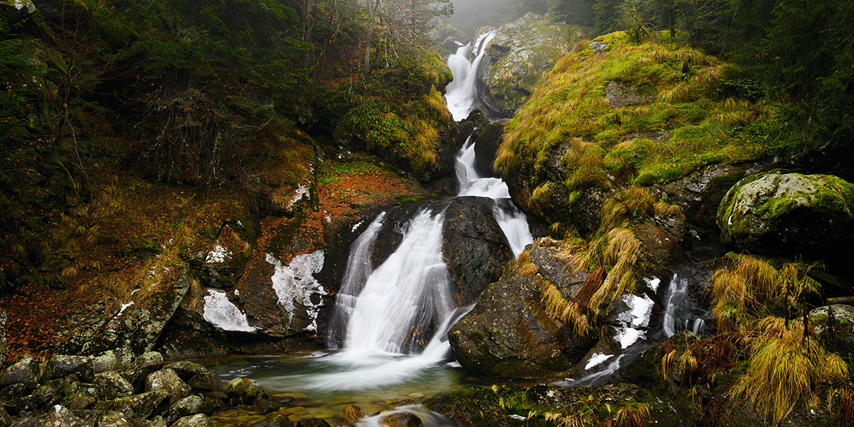 Alexander Targov Unsplash - ESG mission, environment, social, governance, sustainability 