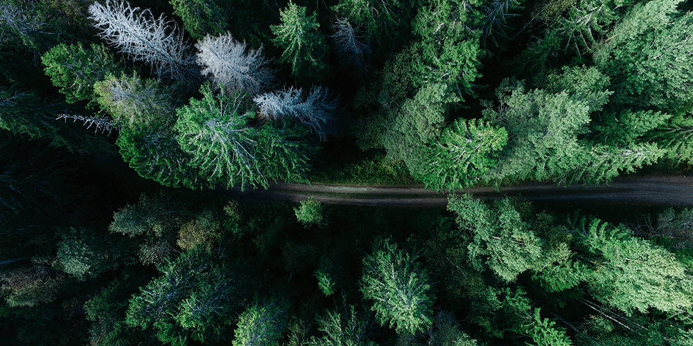 Geran De Klerk - unsplash - Emissions radar