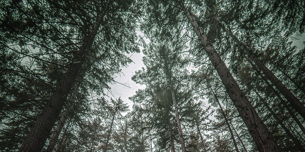 Maxim Hopman Unsplash - reduced green house gas emissions - GHG emissions, oil and gas, process industry